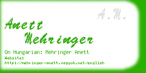 anett mehringer business card